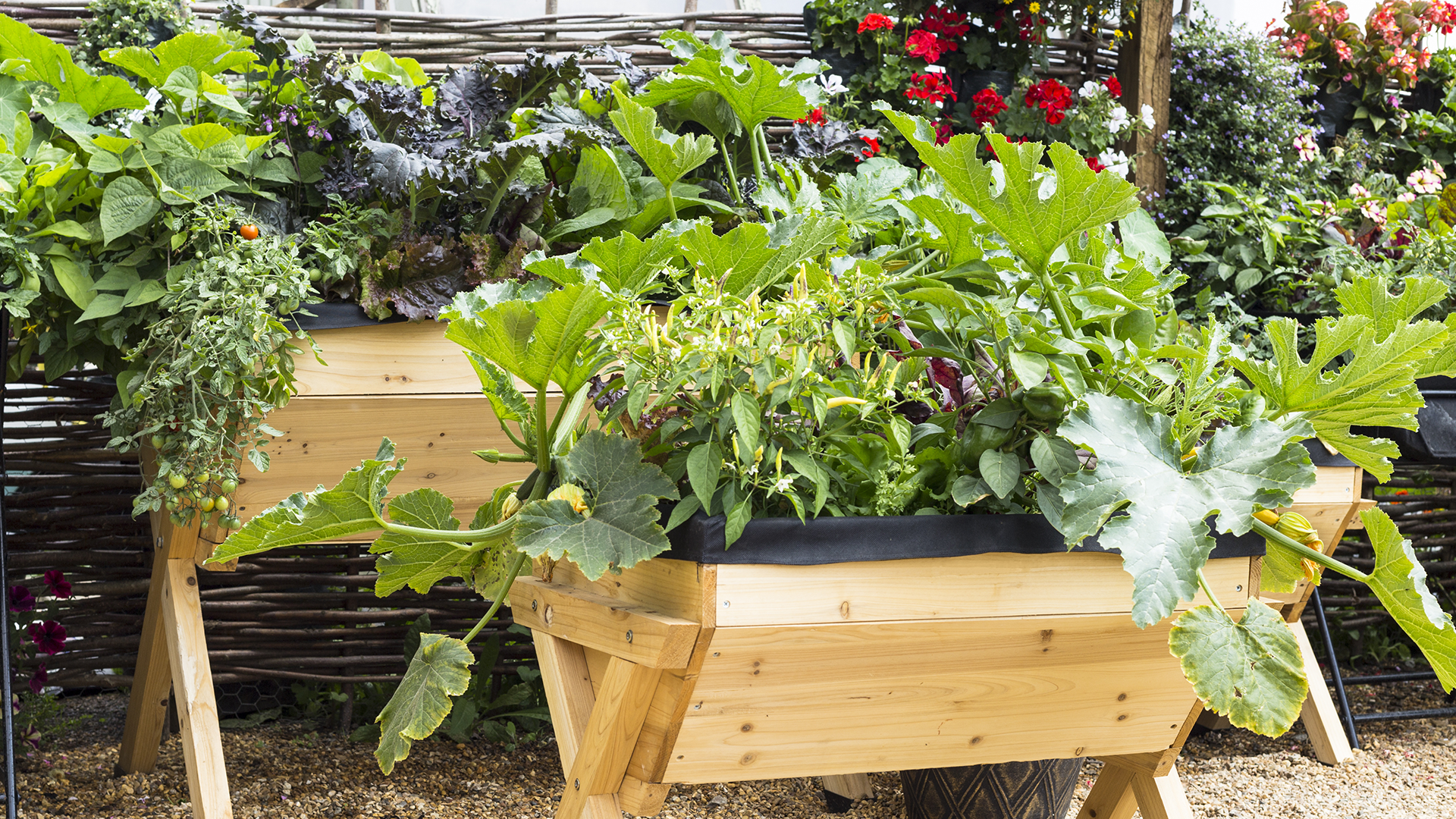 Container Gardening Tips Edible Gardens