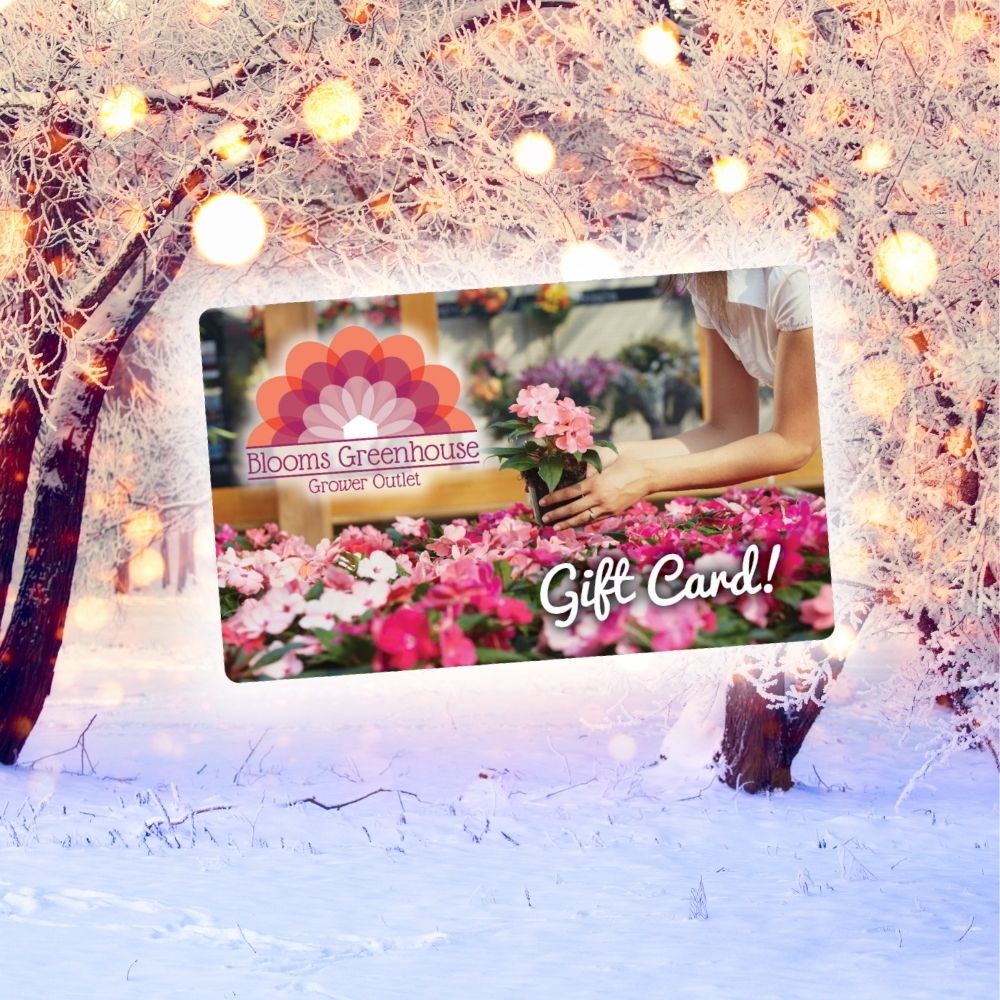 Blooms Greenhouse Gift Card (Digital)
