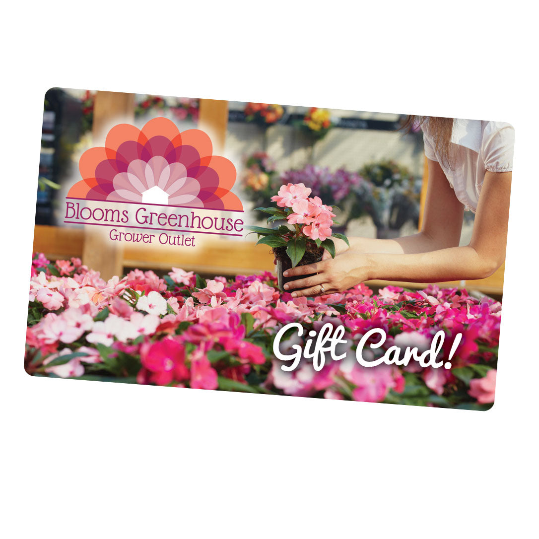Blooms Greenhouse Gift Card (Physical)
