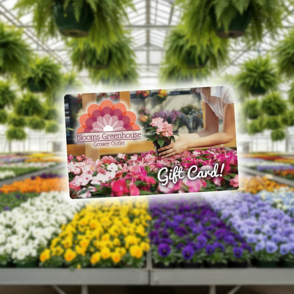 A photo of a gift card with a greenhouse as the background