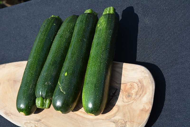 Squash Zucchini