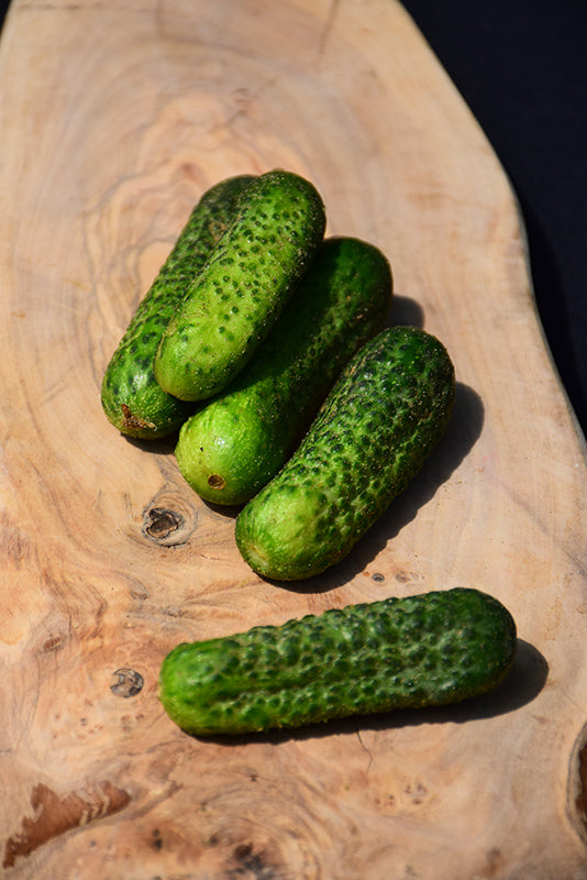 Cucumber Gherkin