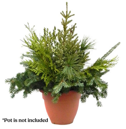 Pre-Order Porch Pots- In Store Pick Up Only