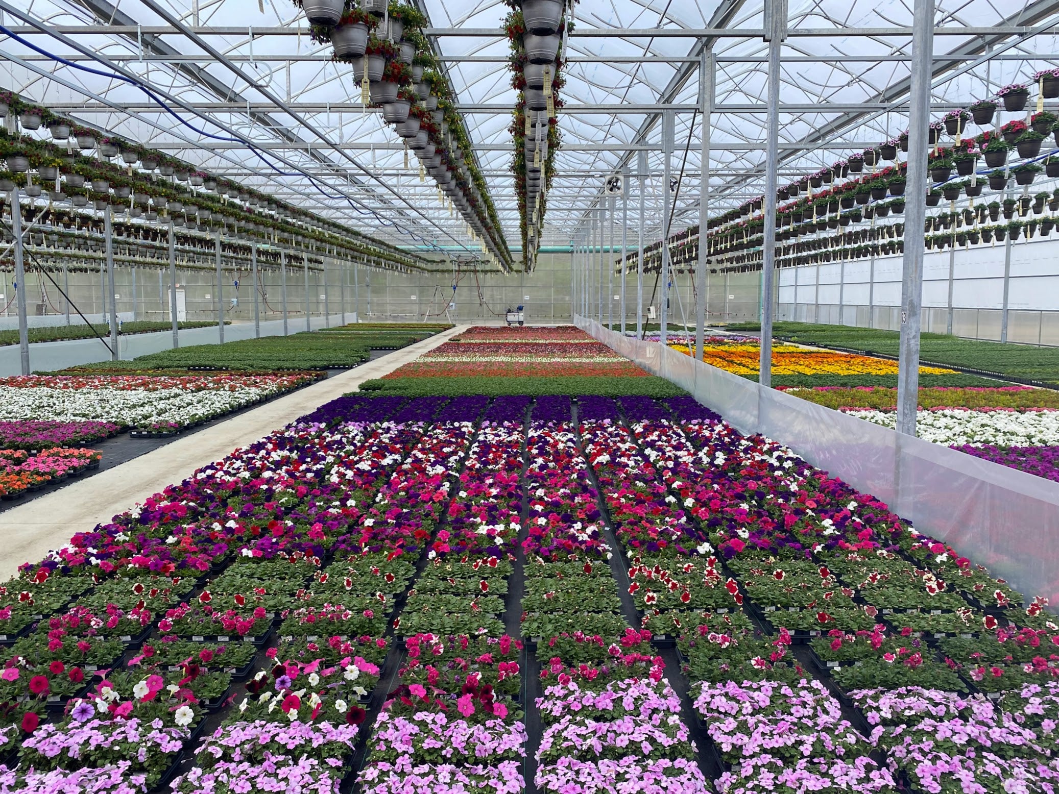 2025 Kingsbury Acres Production Facility Tour - July 26th, 2025