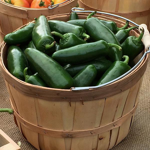 Pepper La Bomba Jalapeno