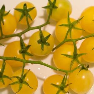 Tomato Lemon Cherry