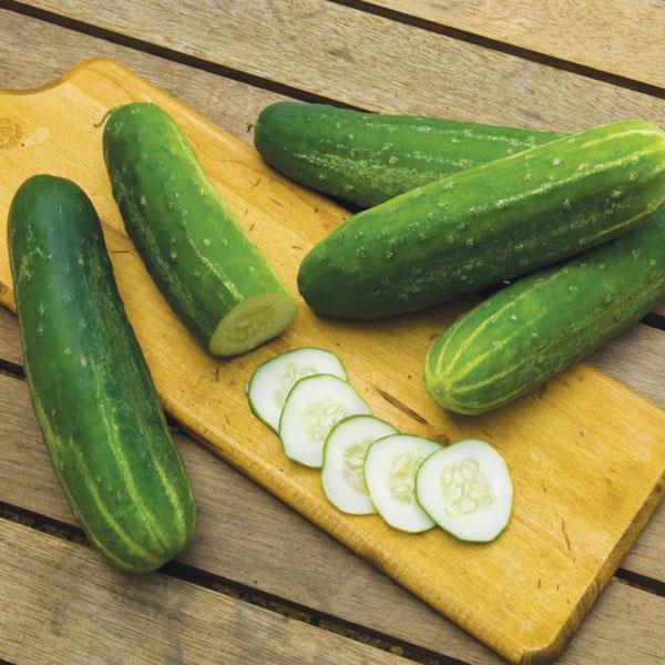 Cucumber Straight Eight