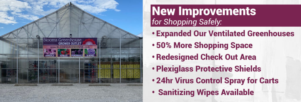 New Improvements for Safer Shopping at Blooms Greenhouse Grower Outlet