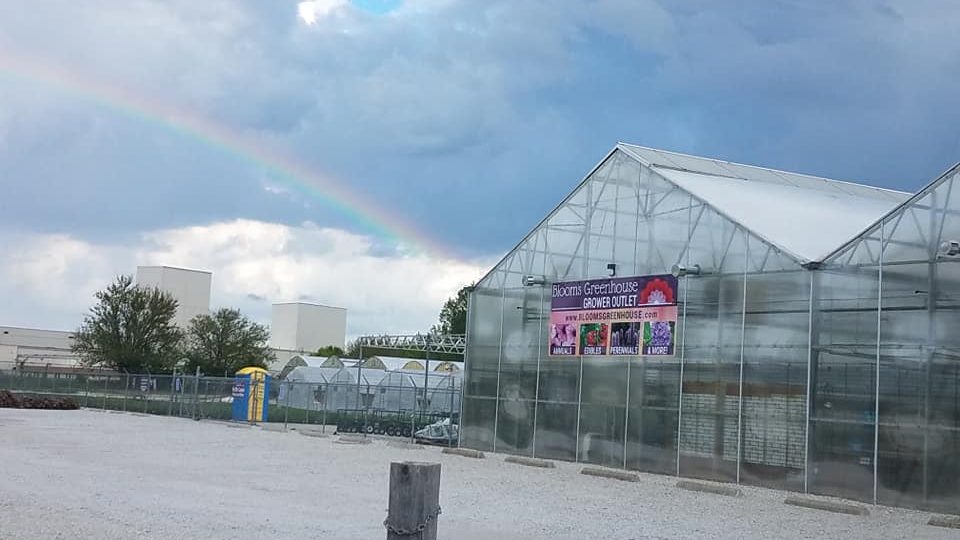 Blooms Greenhouse Grower Outlet