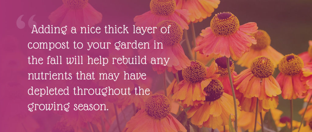 Adding a nice thick layer of compost to your garden in the fall will help rebuild any nutrients that may have depleted throughout the growing season.