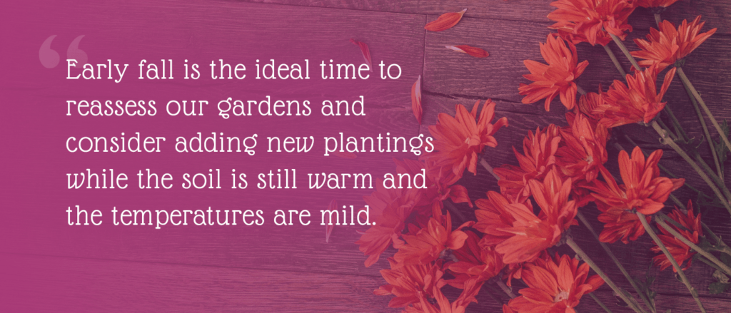 Blooms Greenhouse quote Early fall is the ideal time to reassess our gardens and consider adding new plantings while the soil is still warm and the temperatures are mild.