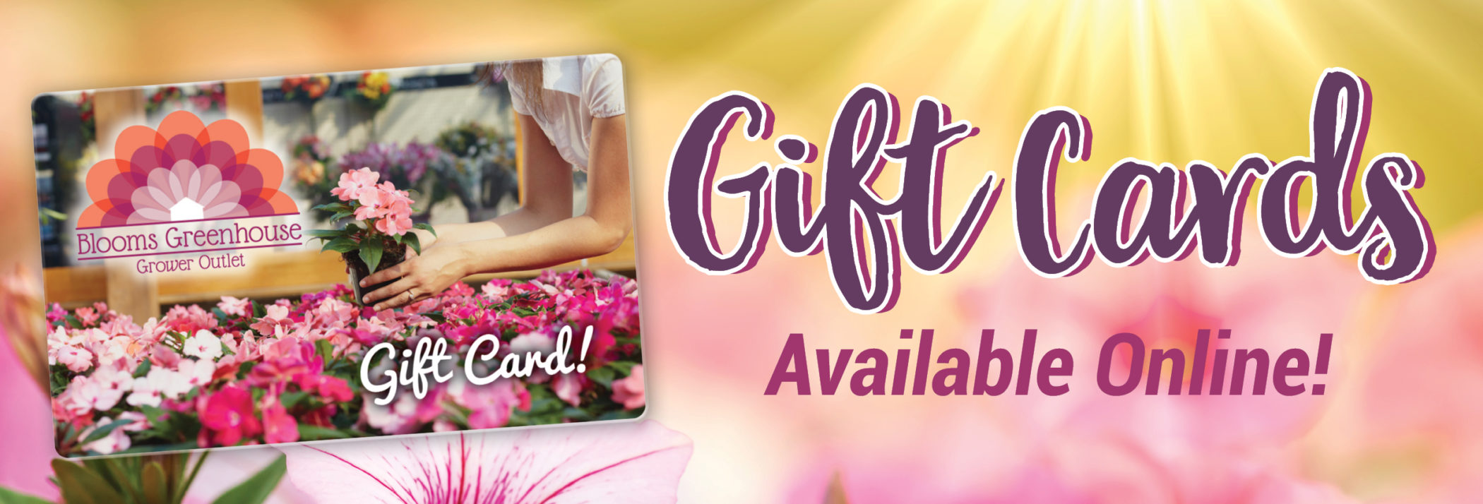 Gift Cards Available Online!