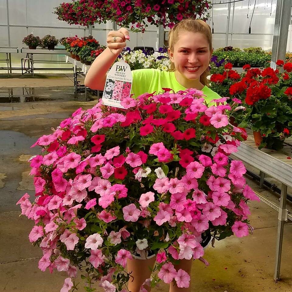 Blooms Greenhouse Staff showcasing a giant Hanging Basket